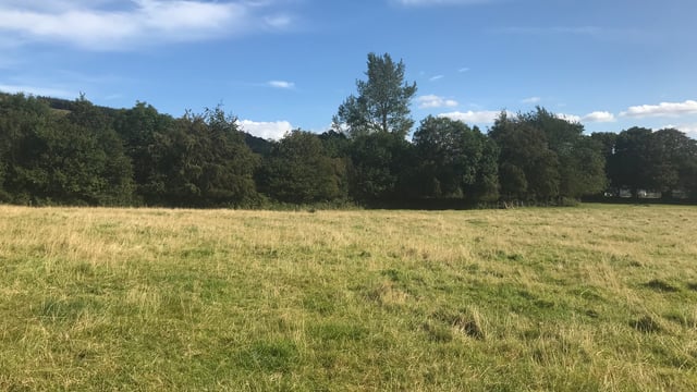 'Excellent parcel of land' in picturesque location for auction