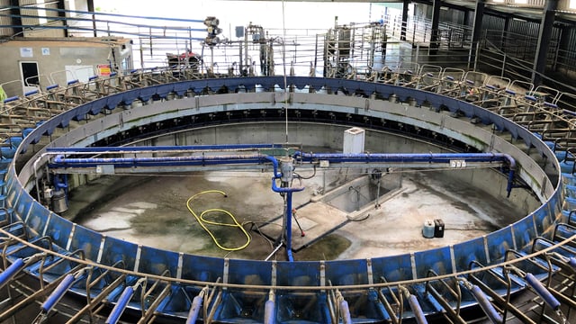 Dairy conference: 'Two-thirds of expansion has come from greater efficiency on farms'