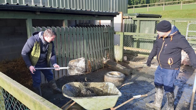 Social farming open day: 'A really powerful and positive initiative'