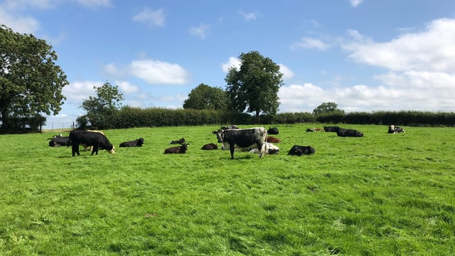 EU Organic Awards to open for applications next month
