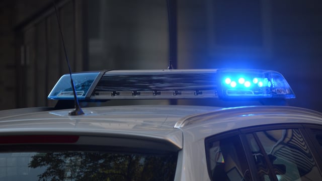 Fermanagh man arrested for possible badger baiting