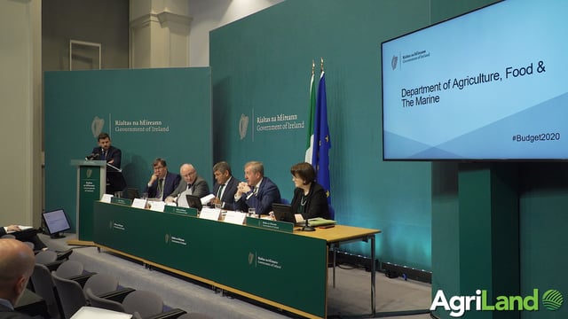 Budget 2020: Dairy farmer finishers 'would be included' in €85m beef package
