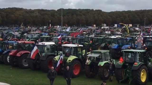 Thousands of Dutch farmers return to roads in protest