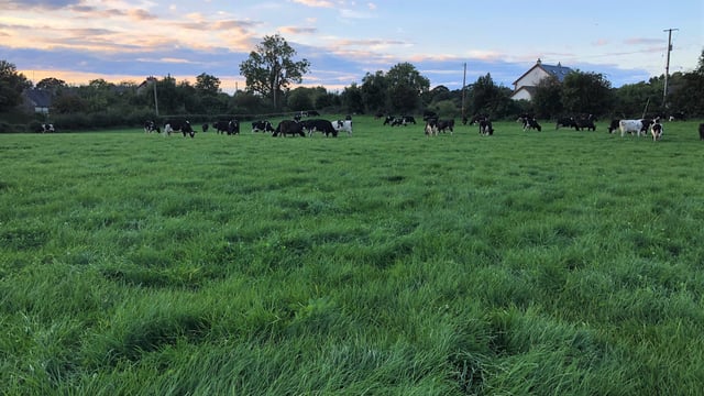 Greater grass utilisation achieves €616/ha more than the average