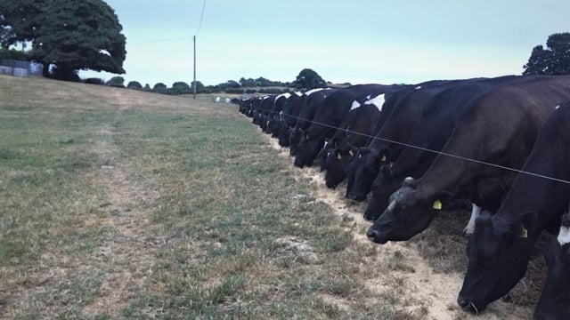 Dairy profits fell by a massive 28% in 2018