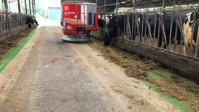 Removing cows from Ireland would be 'bad' for the world - Lely