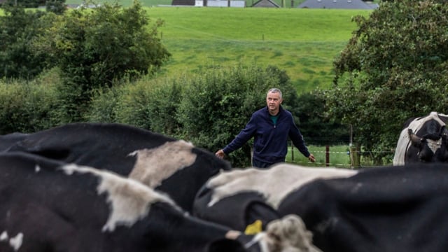 Opinion: What insurer would cover the enforced shut-down of a milk processor?