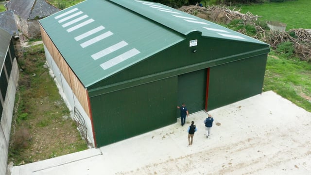 Event reminder: Dairy calf-to-beef farm walk to take place tomorrow