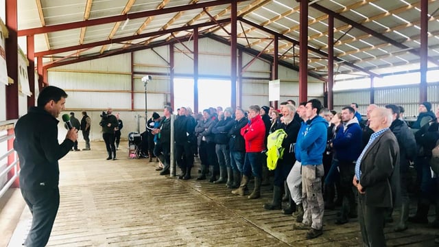 Huge crowds attend Teagasc Green Acres Calf to Beef farm walk in Co. Kilkenny