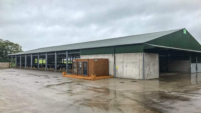 Finishing 1,500 head of cattle with a fully automated feeding system in Co. Cork
