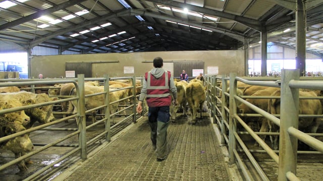 Mart Managers of Ireland to meet department officials