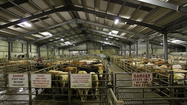 3 support measures sought to ensure marts 'can continue after Covid-19'