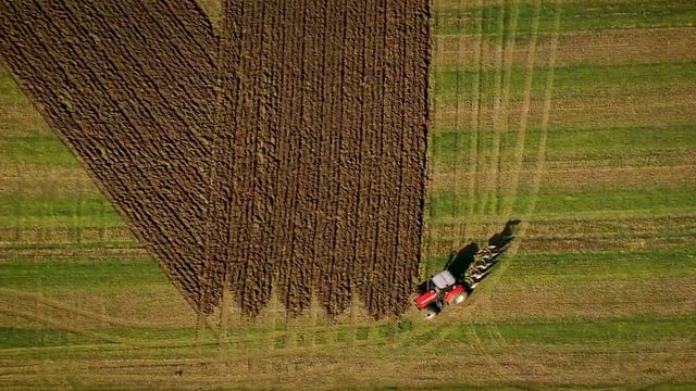 Giant anti-Brexit message ploughed into English field