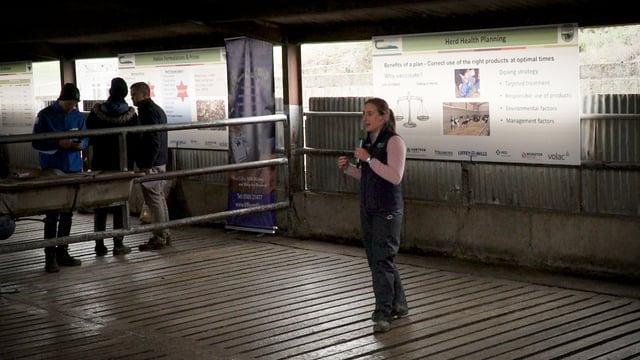 Video: The importance of vaccination as part of a herd health plan