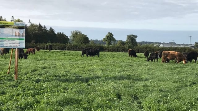 Host of Teagasc events postponed due to weather
