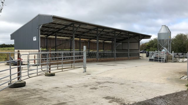 Buildings focus: Leaving no stone unturned in this beef-finishing unit in Co. Waterford