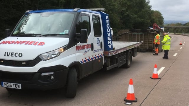 'Several sheep killed and injured' following UK trailer accident