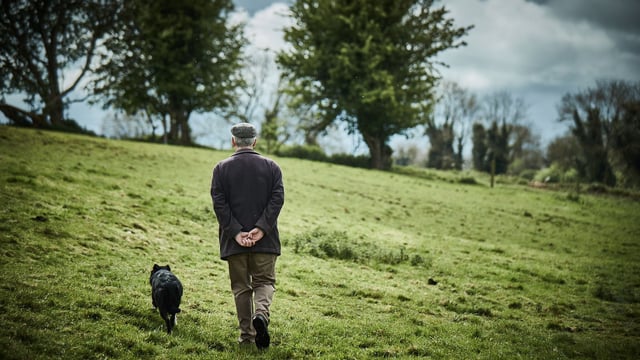 Irish farmers experience '7 times higher mortality' than white collar workers