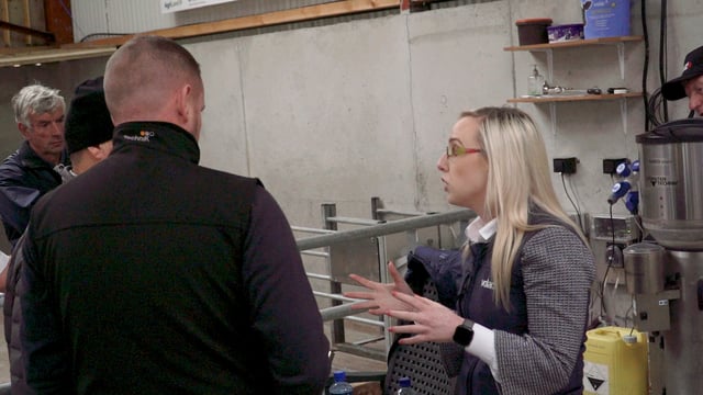 Milk replacer: 'All feeding systems work once you are consistent in what you do'