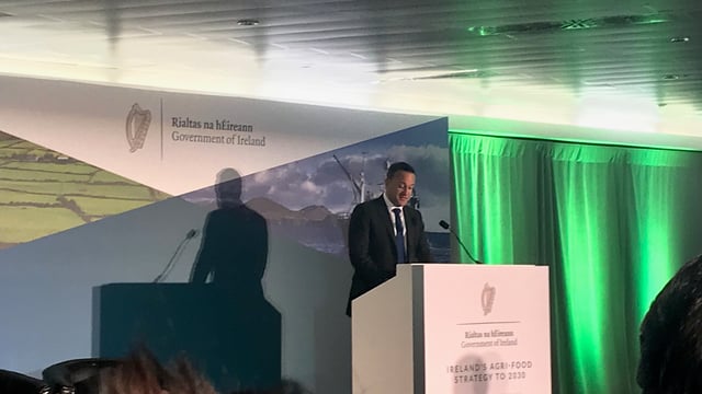Varadkar: Progress on remaining Brexit issues 'can be done today'