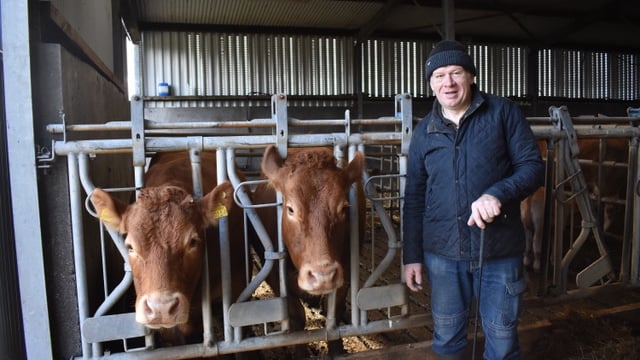 'Social farming is beneficial for all': Limousin breeder