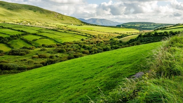 EU environment ministers agree 'partial approach' on proposed climate law