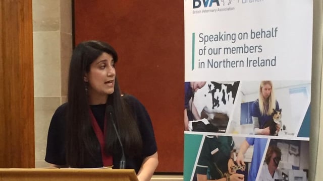 NI vets praised for 'strong and supportive' work ahead of Brexit