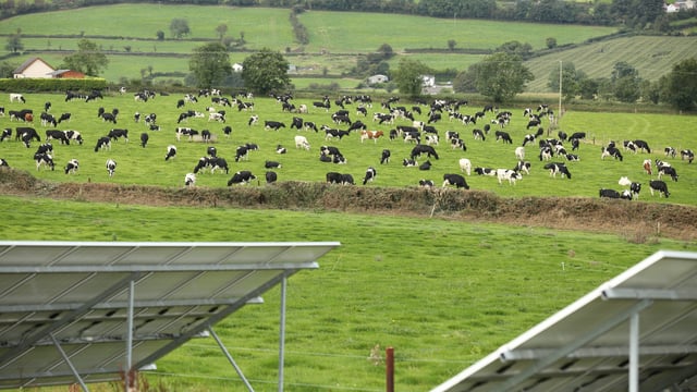 'Farmers are being used as political cover by the IFA' - An Taisce