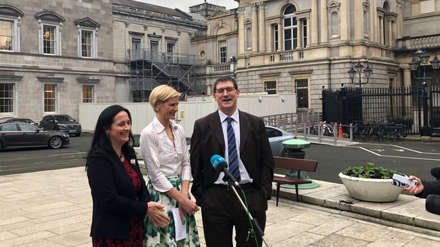 Green party agriculture spokesperson takes up Seanad seat