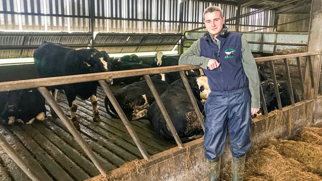 Beef focus: Running a dairy and a 100-head finishing operation in Co. Waterford