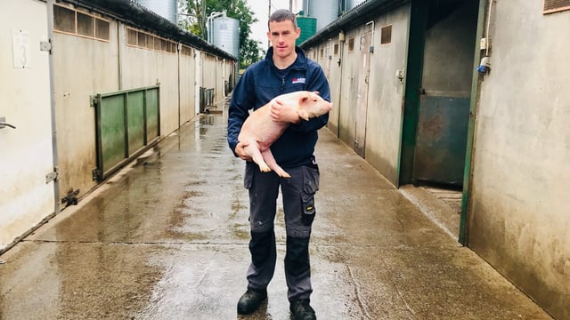 As great market of China opens up, Irish pig farmers seek stronger ASF defences