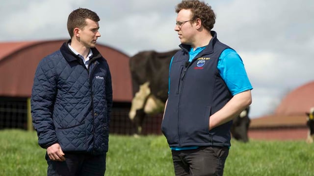 The importance of a successful dairy dry cow programme