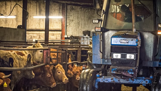 FARM SMART: Removing the paperwork on this 260-head finishing unit in Co. Derry