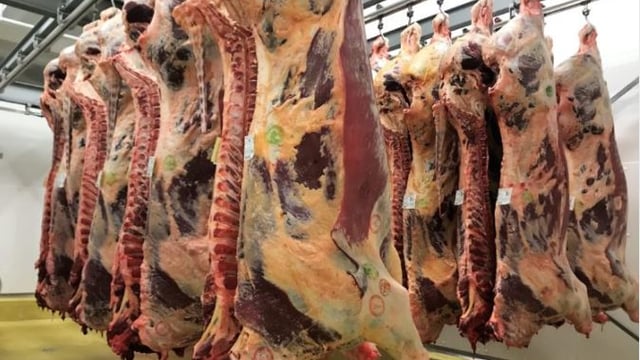 Aldi examining 30-month vs. 36-month slaughter age limit