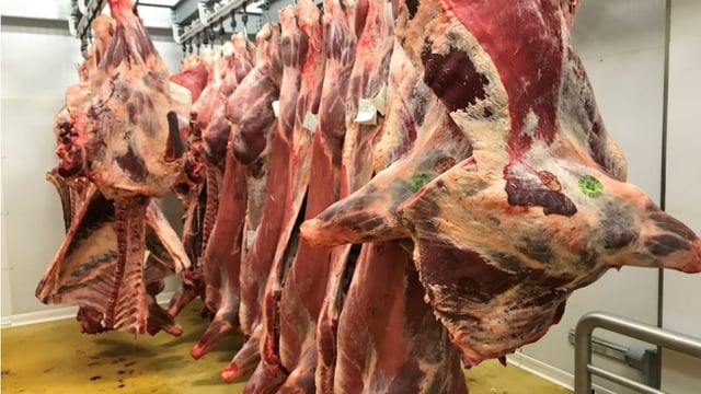 Beef Market Price Index: What does it mean for farmers?