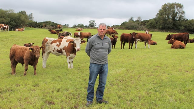 Memo to AgriLand: 'I will not be finishing cattle this winter'