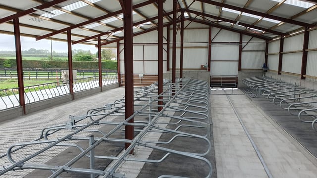 Buildings focus: Brand new 60-cubicle shed and feeding area/yard in Co. Tipperary