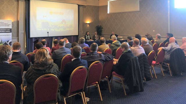 Lairage space for 5,000 dairy calves per sailing expected next spring