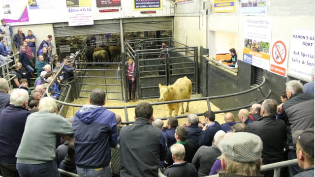 Cattle marts: 'Anything nice is still a good trade regardless of the situation'
