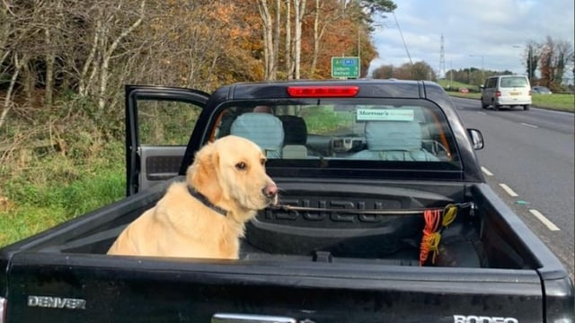 Driver with 'insecure load' in the doghouse with the law