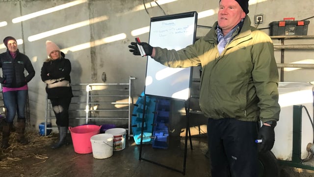 Technical Day: All aspects of calf health up for discussion in Co. Kildare