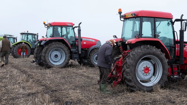 Auction report: Mix of marques goes 'under the hammer' at on-farm sale