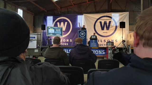 Auction conundrum: Did the hammer drop...and does that even matter?