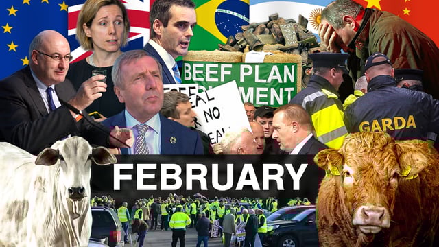Beef Industry Review: February