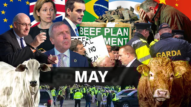 Beef Industry Review: May