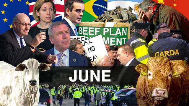 Beef Industry Review: June