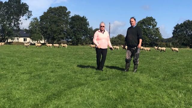 Back in focus: Sheep farming in the heart of the Wicklow Mountains
