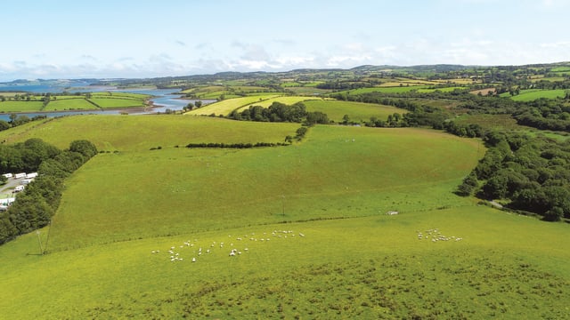 What did the experts say about each province in the IPAV farm report?