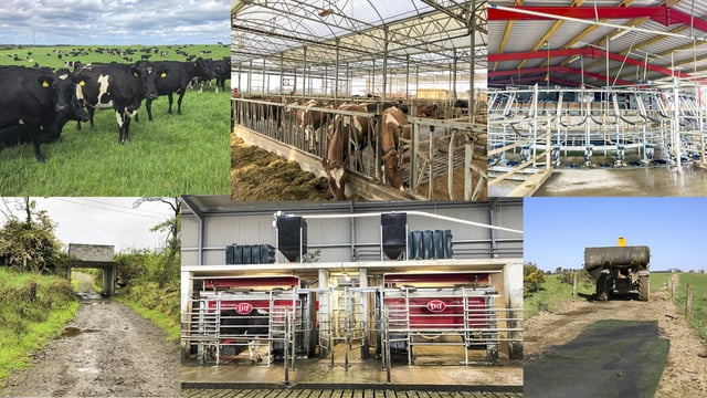 Dairy throwback: Taking a look back at the top 10 dairy farm visits of 2019