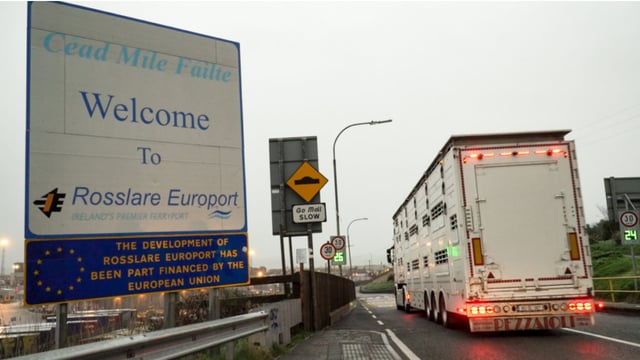 Brexit: 'Ireland must look after its haulage industry'
